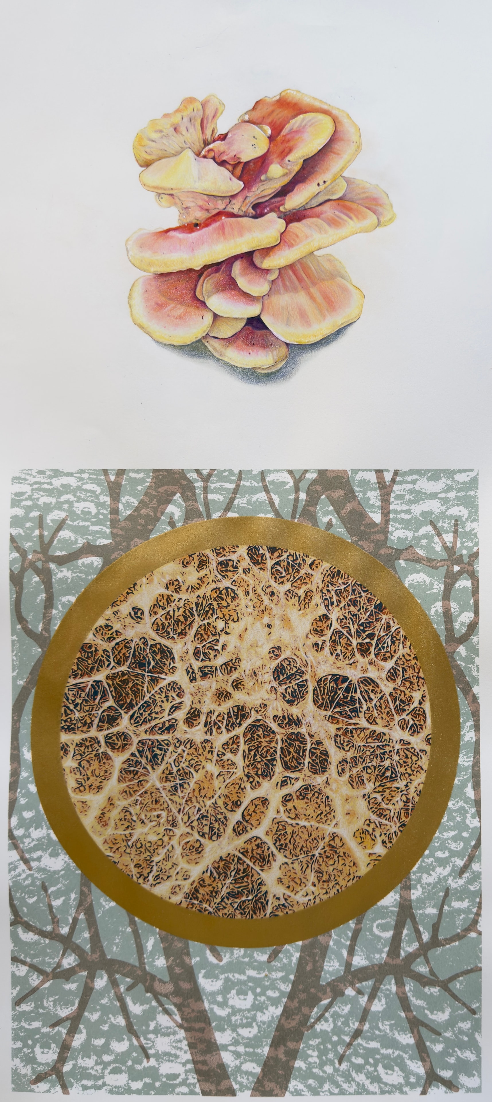Nature's Icon Series: Decomposition