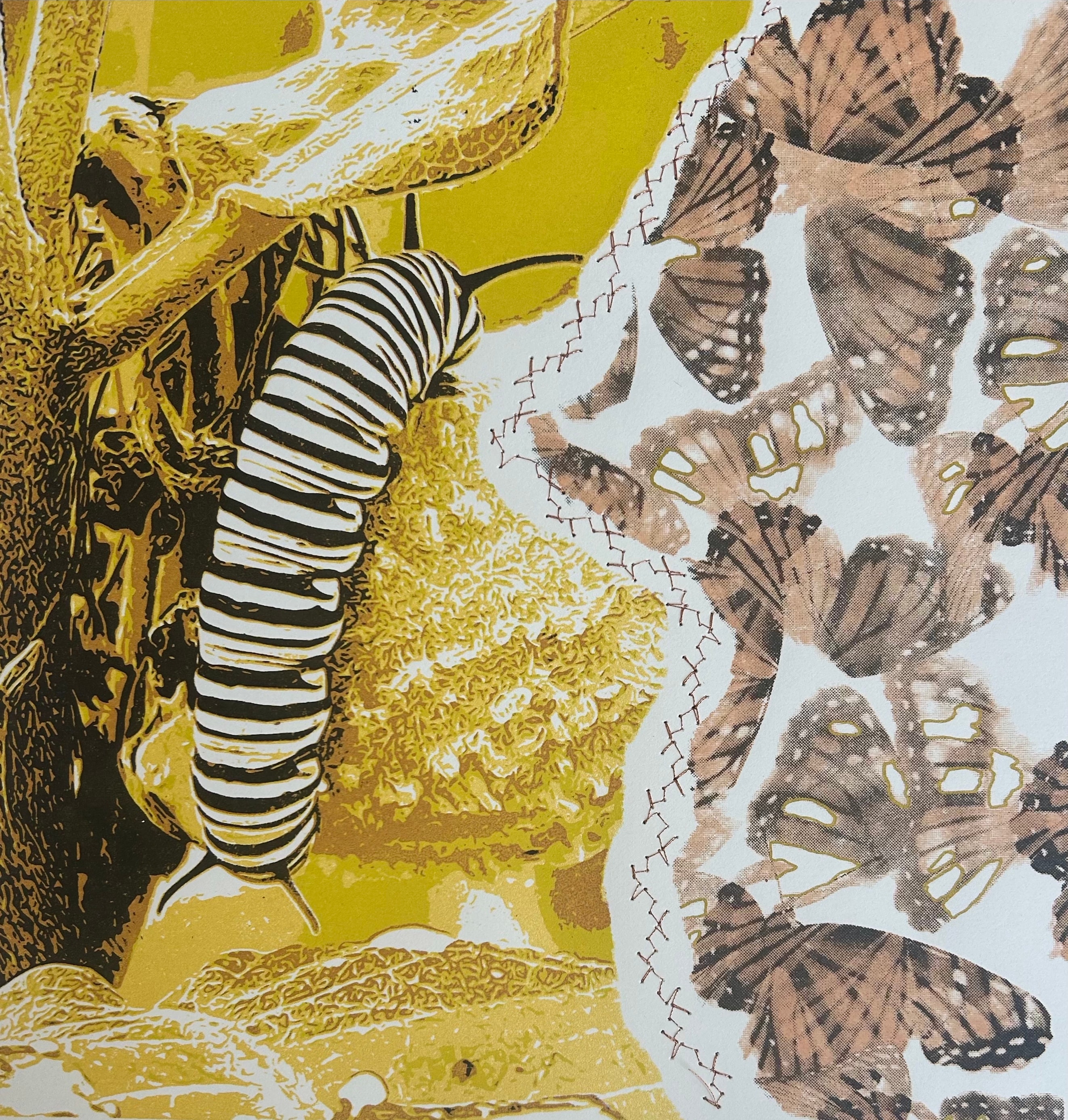Monarch Watch